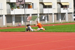 k-DSC_3393