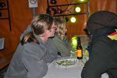 fft2010_0056