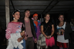 fft2010_0078