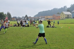 fft2010_0116