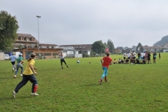 fft2010_0117