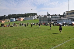 fft2010_0157