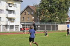 fft2010_0163