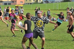 fft2010_0183