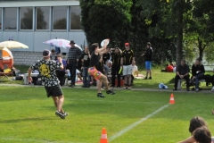 fft2010_0186