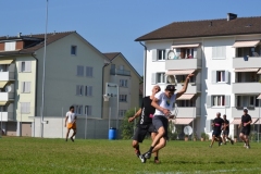 fft12_060