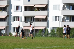 fft12_063