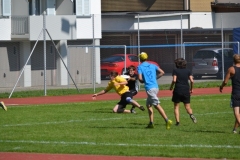 fft12_145