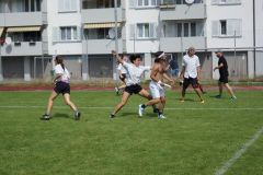 fft16_DSC04520
