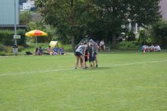 fft16_DSC04856