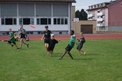 fft16_DSC04879