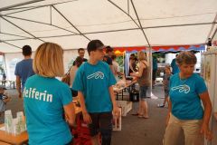fft16_DSC05204