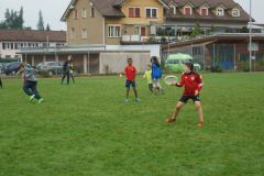 dsc09537