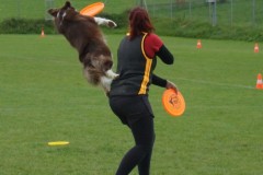 DSC02235
