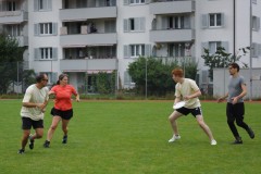 DSC03376