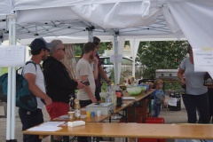 DSC05071